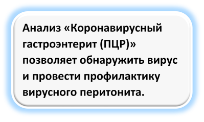 Вирусный перитонит кошек.png
