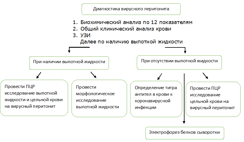 Алгоритм диагностики вирусного перитонита.png